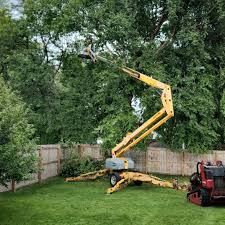 Best Lawn Watering Services  in Brodhead, WI
